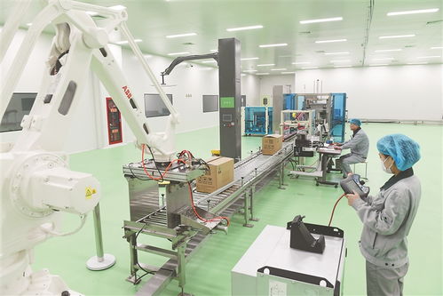 牡丹江民營經(jīng)濟發(fā)展進(jìn)入快車道 技術(shù)服務(wù)驅(qū)動新動能